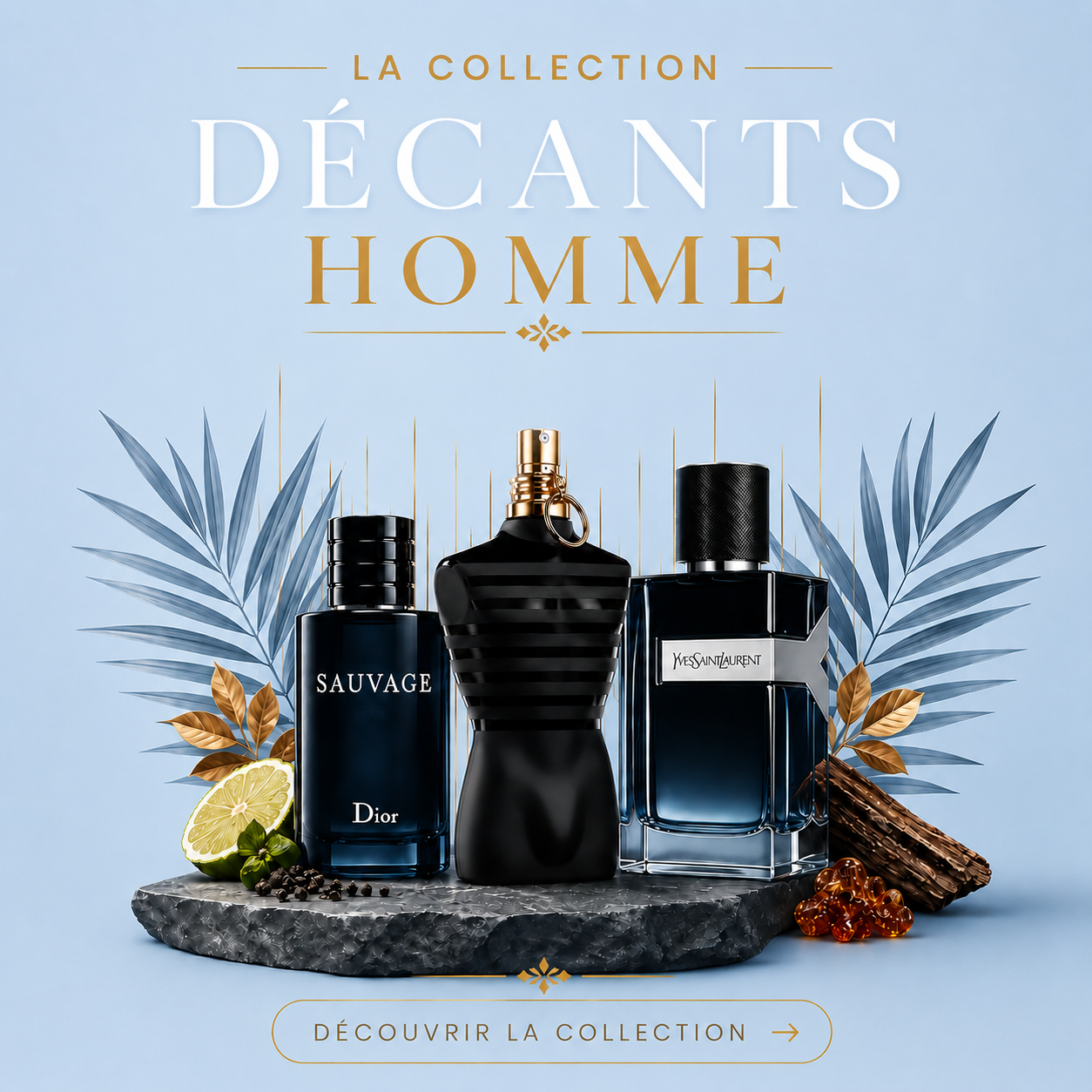 Parfums Homme