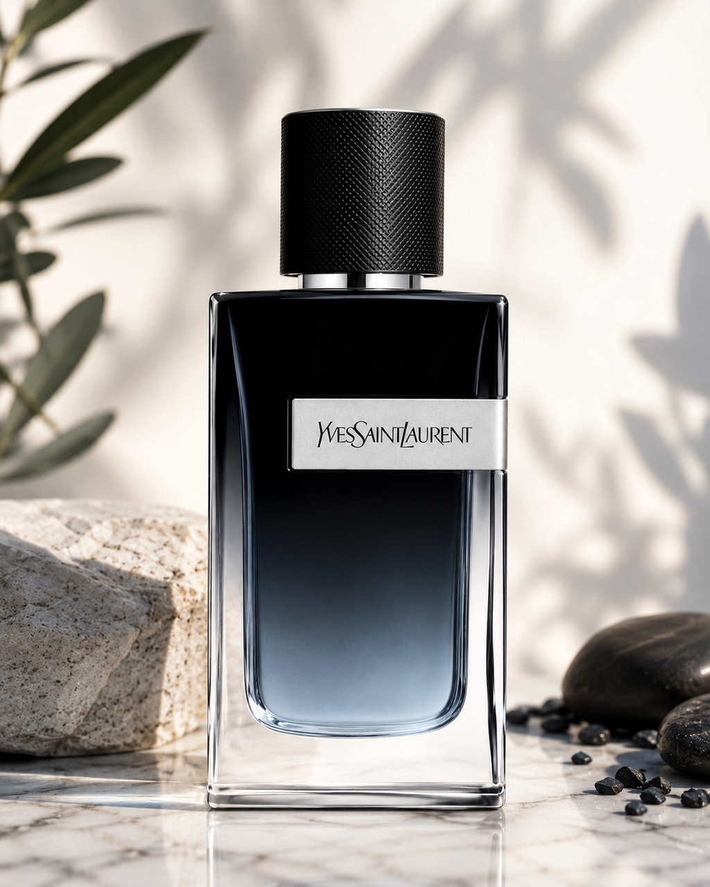 YSL Y
