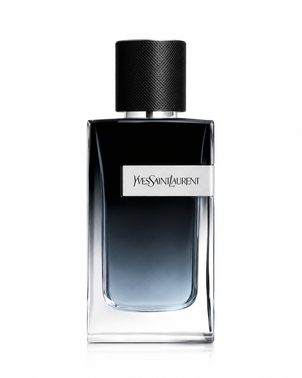 YSL Y