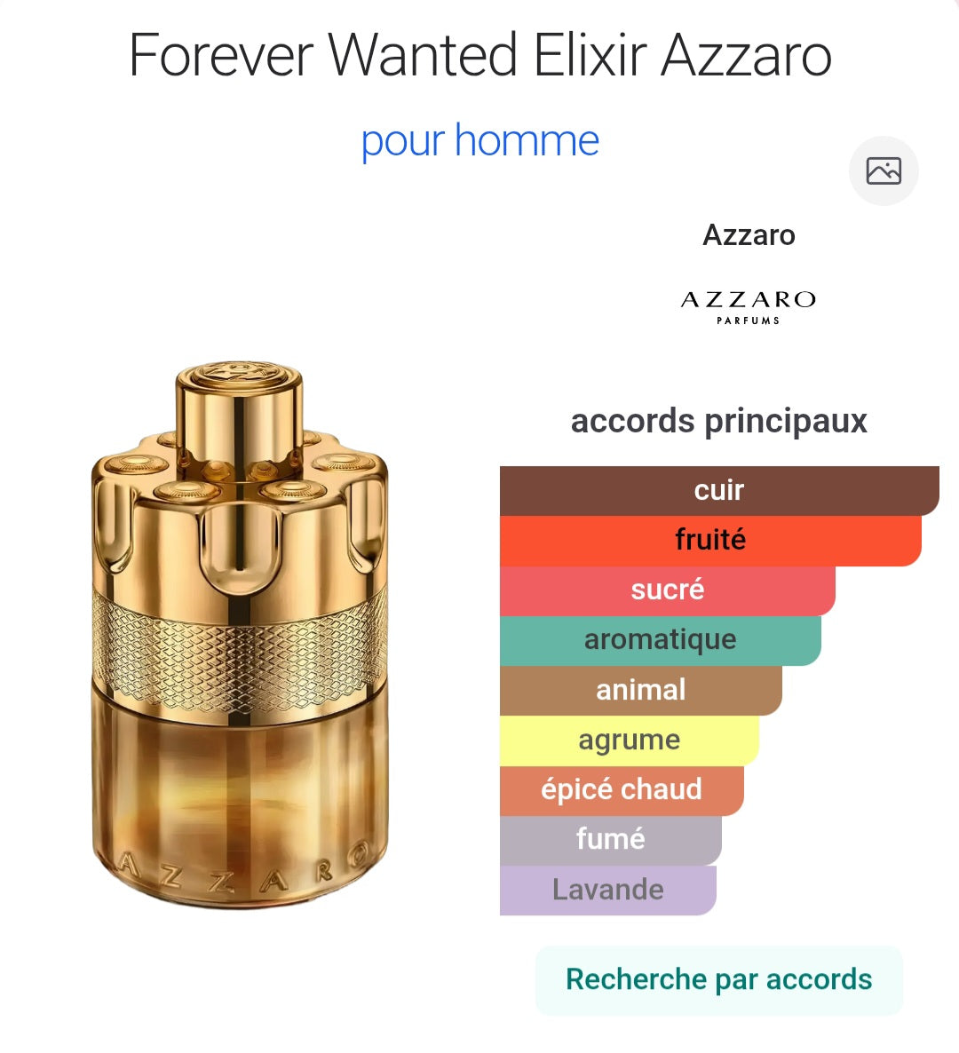 Forever Wanted Elixir Azzaro